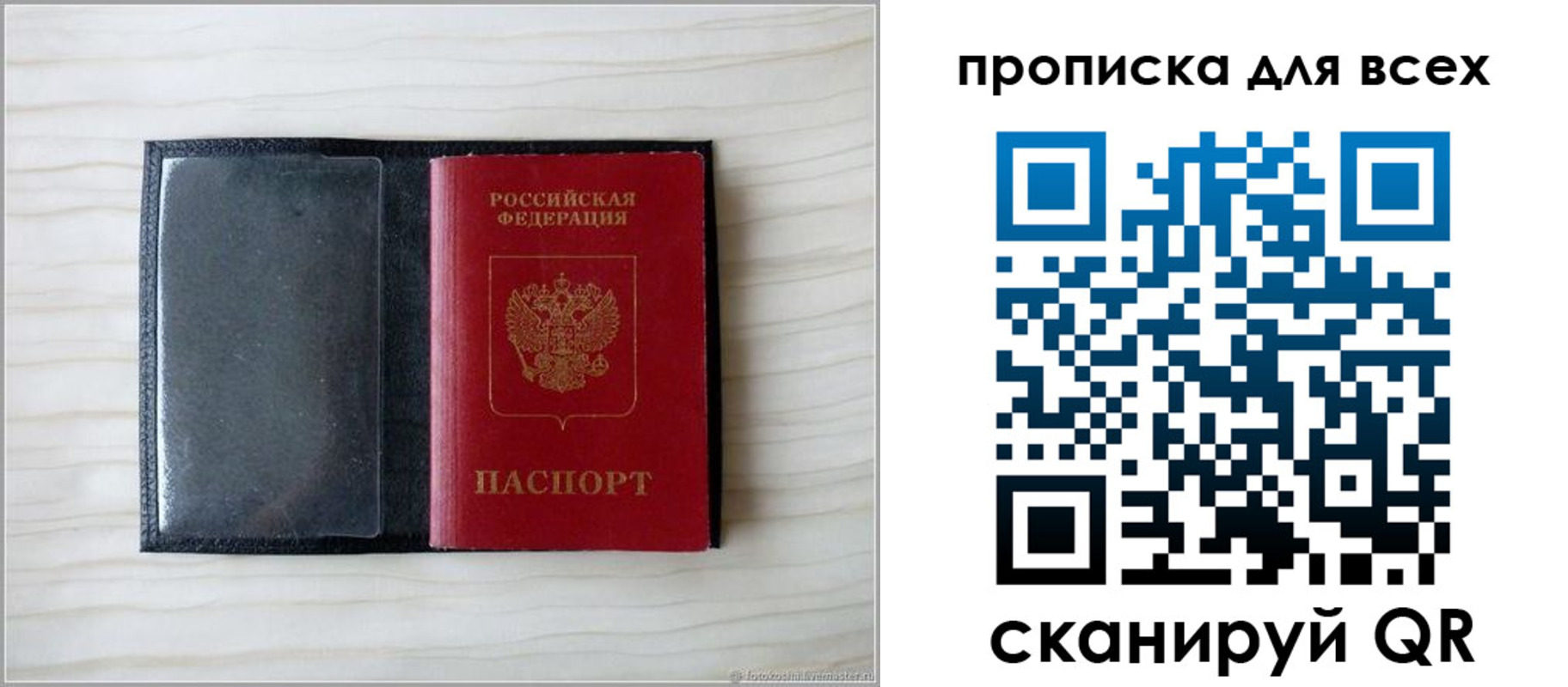 прописка для школы в Курской области